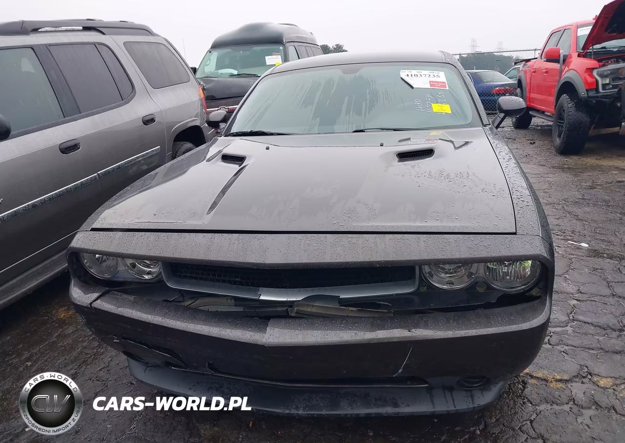 2014 Dodge Challenger Sxt VIN:2C3CDYAG7EH304462 - 12