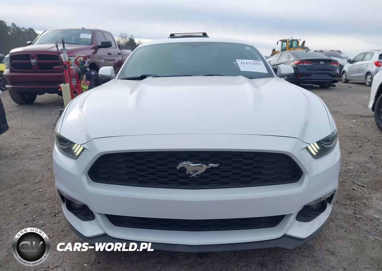 2016 Ford Mustang Ecoboost VIN:1FA6P8TH7G5232118 - 13