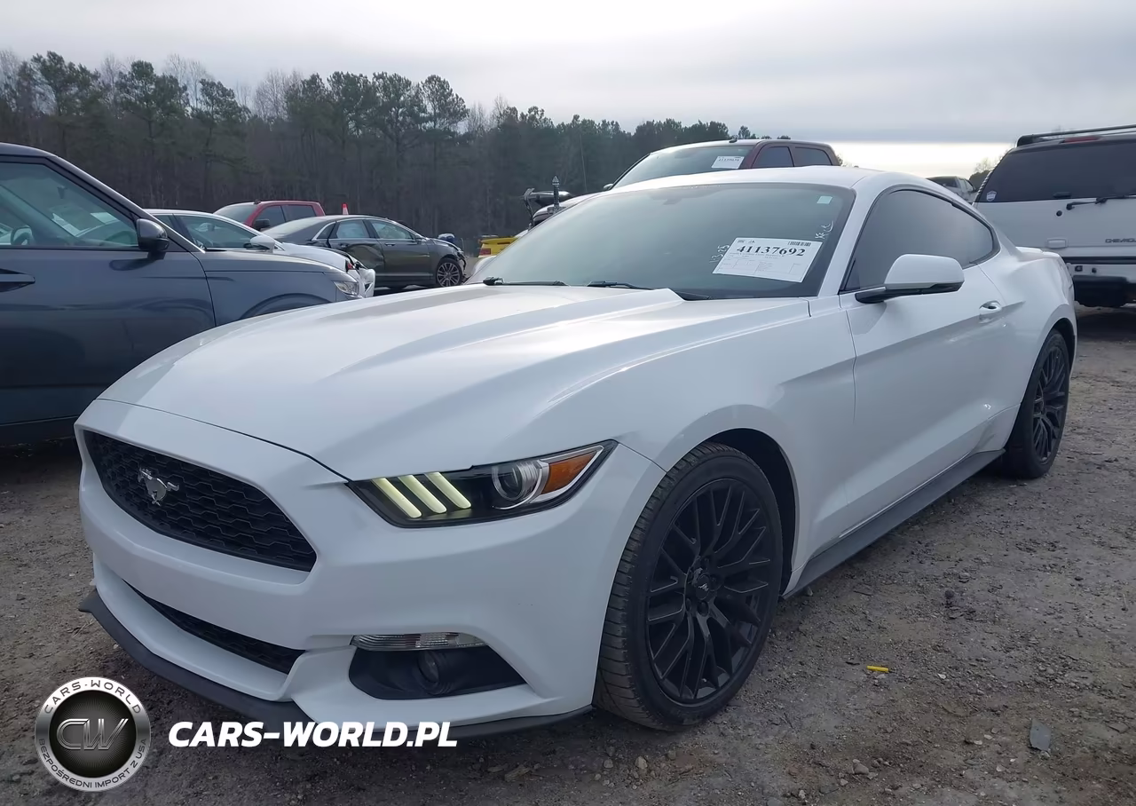 2016 Ford Mustang Ecoboost VIN:1FA6P8TH7G5232118 - 2