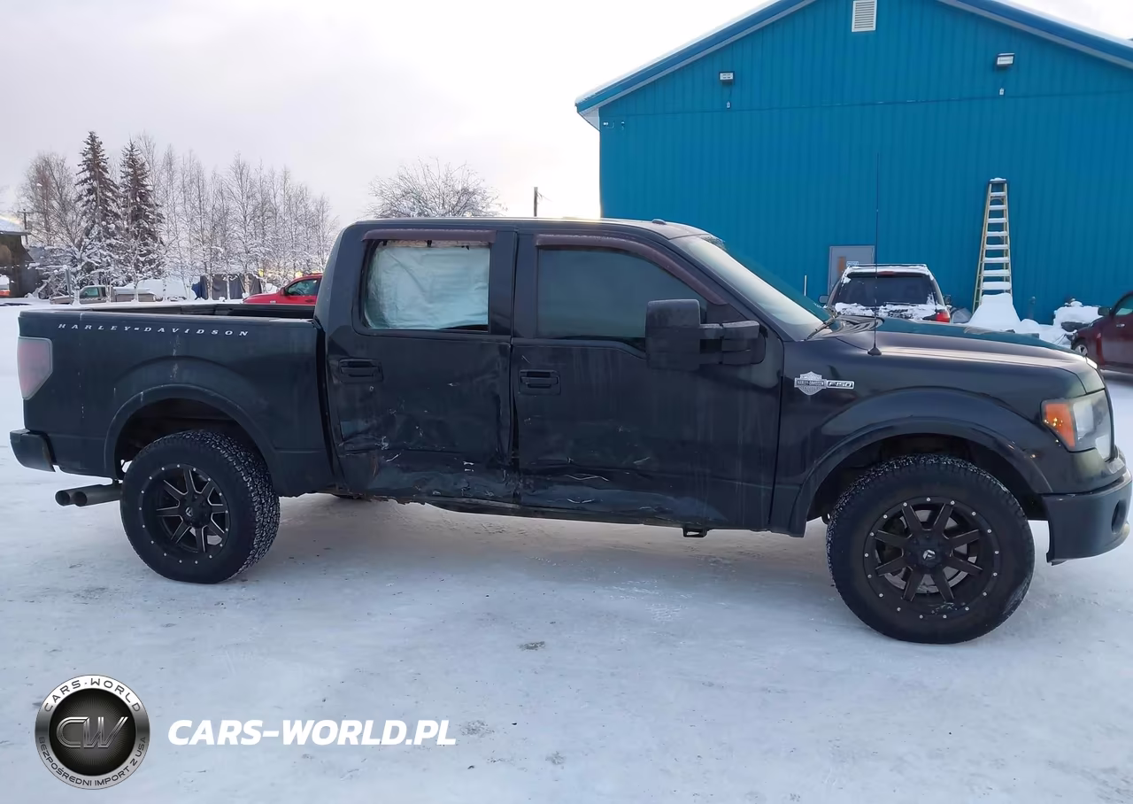 2012 Ford F-150 Harley-Davidson VIN:1FTFW1E61CFC00740 - 13