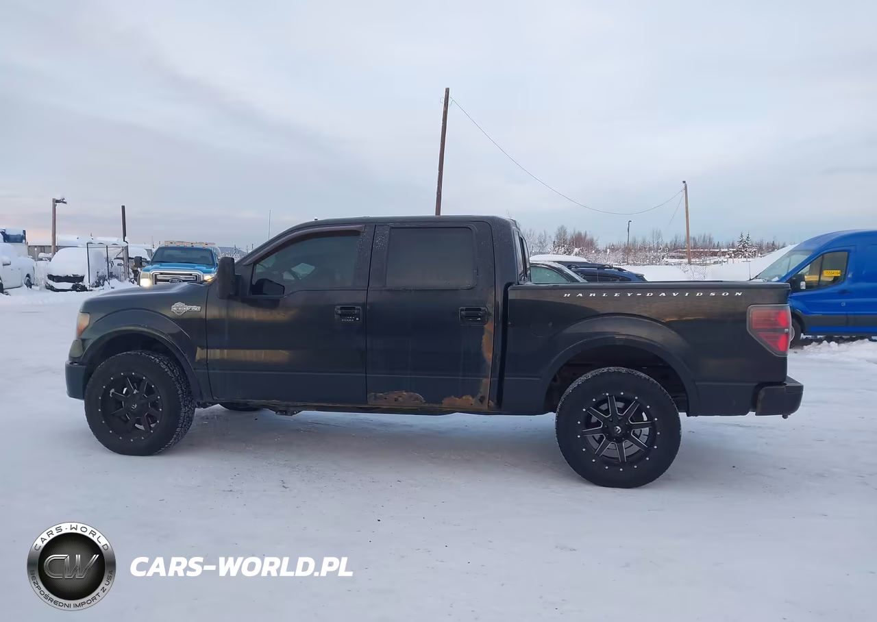 2012 Ford F-150 Harley-Davidson VIN:1FTFW1E61CFC00740 - 14