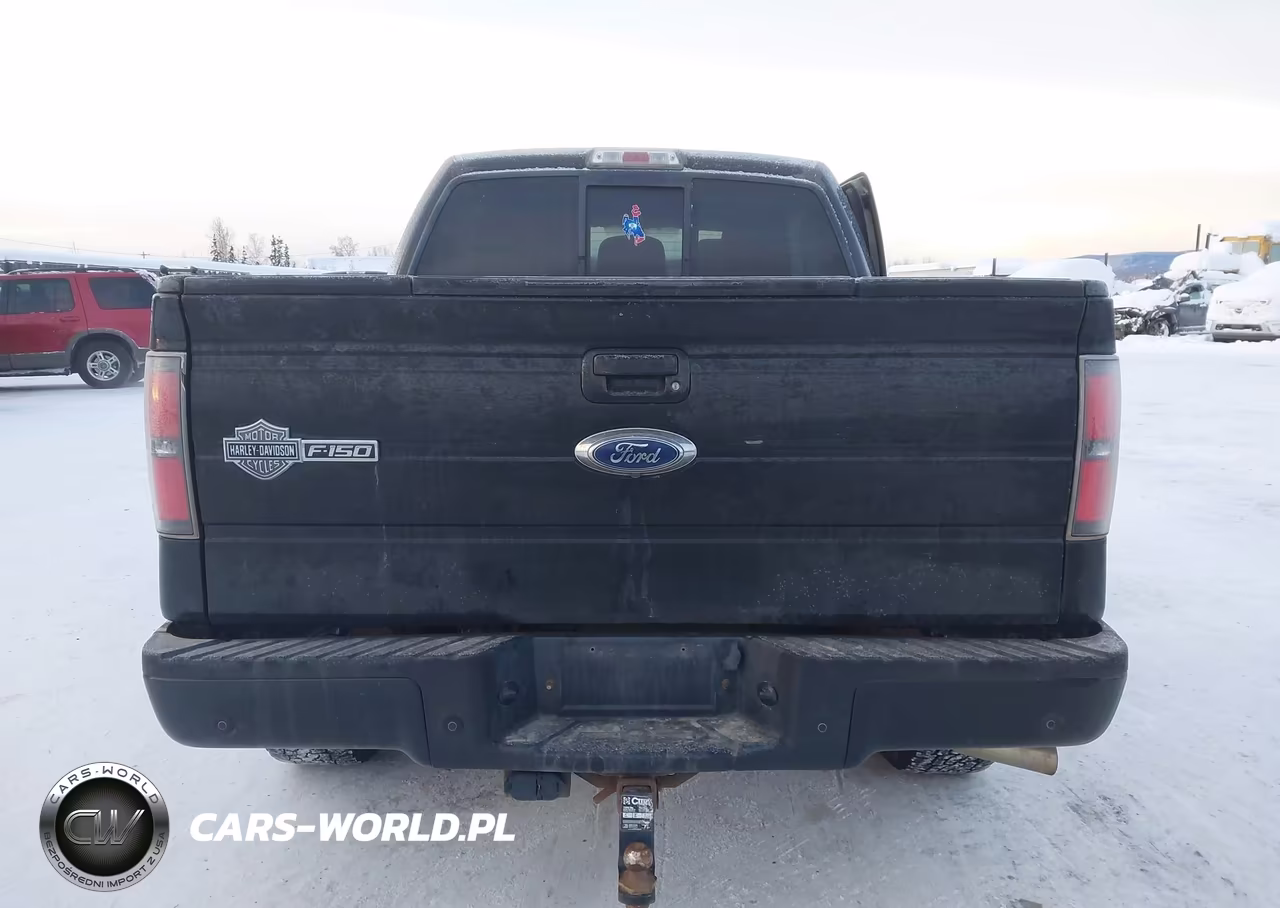 2012 Ford F-150 Harley-Davidson VIN:1FTFW1E61CFC00740 - 16