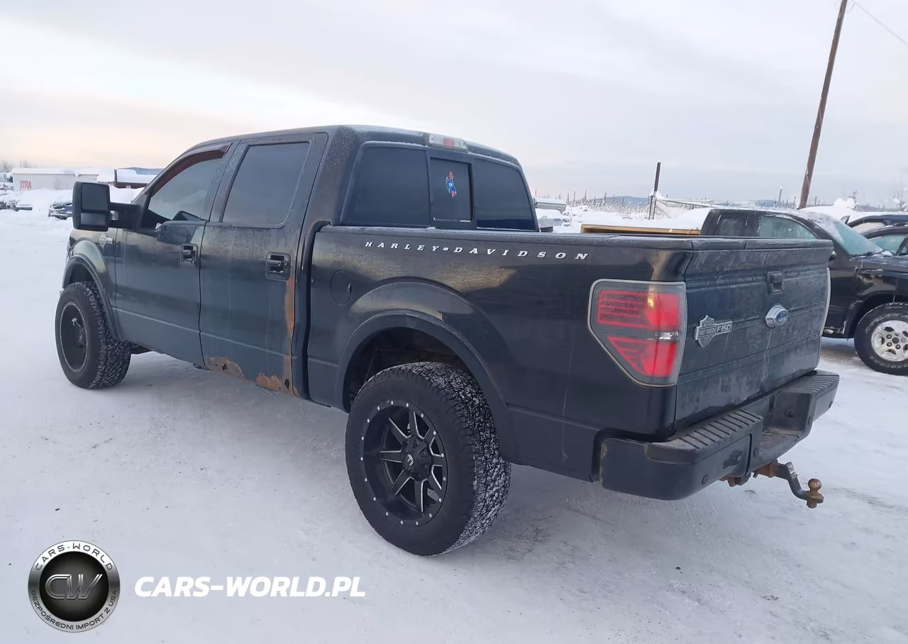 2012 Ford F-150 Harley-Davidson VIN:1FTFW1E61CFC00740 - 3