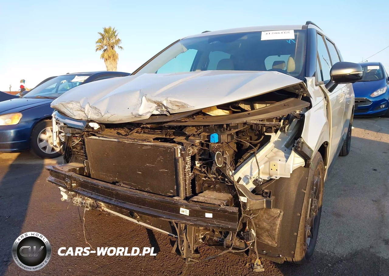 2025 Kia Carnival Mpv Sx VIN:KNDNE5K39S6460043 - 6
