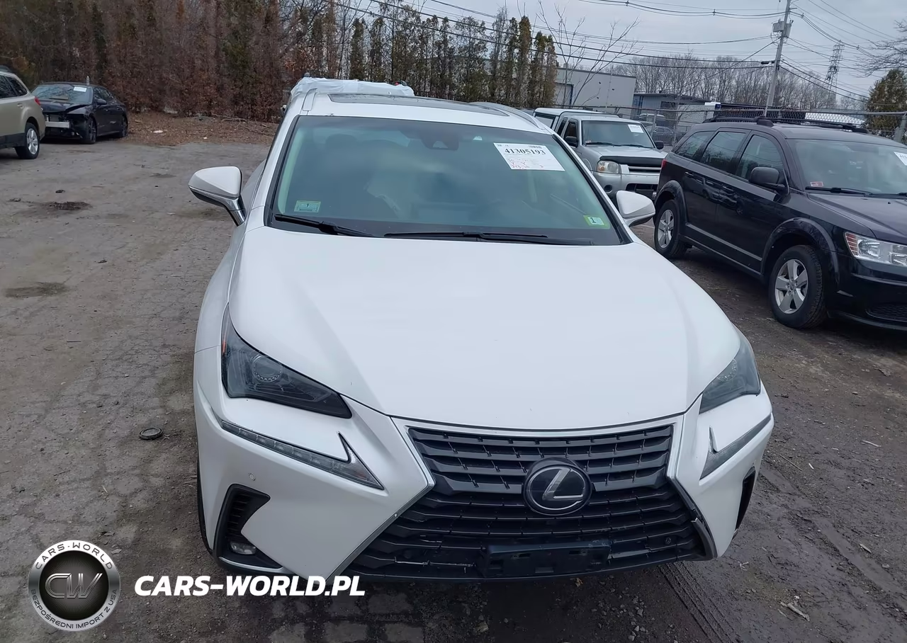 2018 Lexus Nx 300 VIN:JTJBARBZ2J2167856 - 12