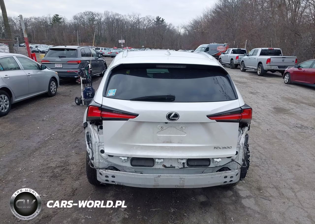 2018 Lexus Nx 300 VIN:JTJBARBZ2J2167856 - 16