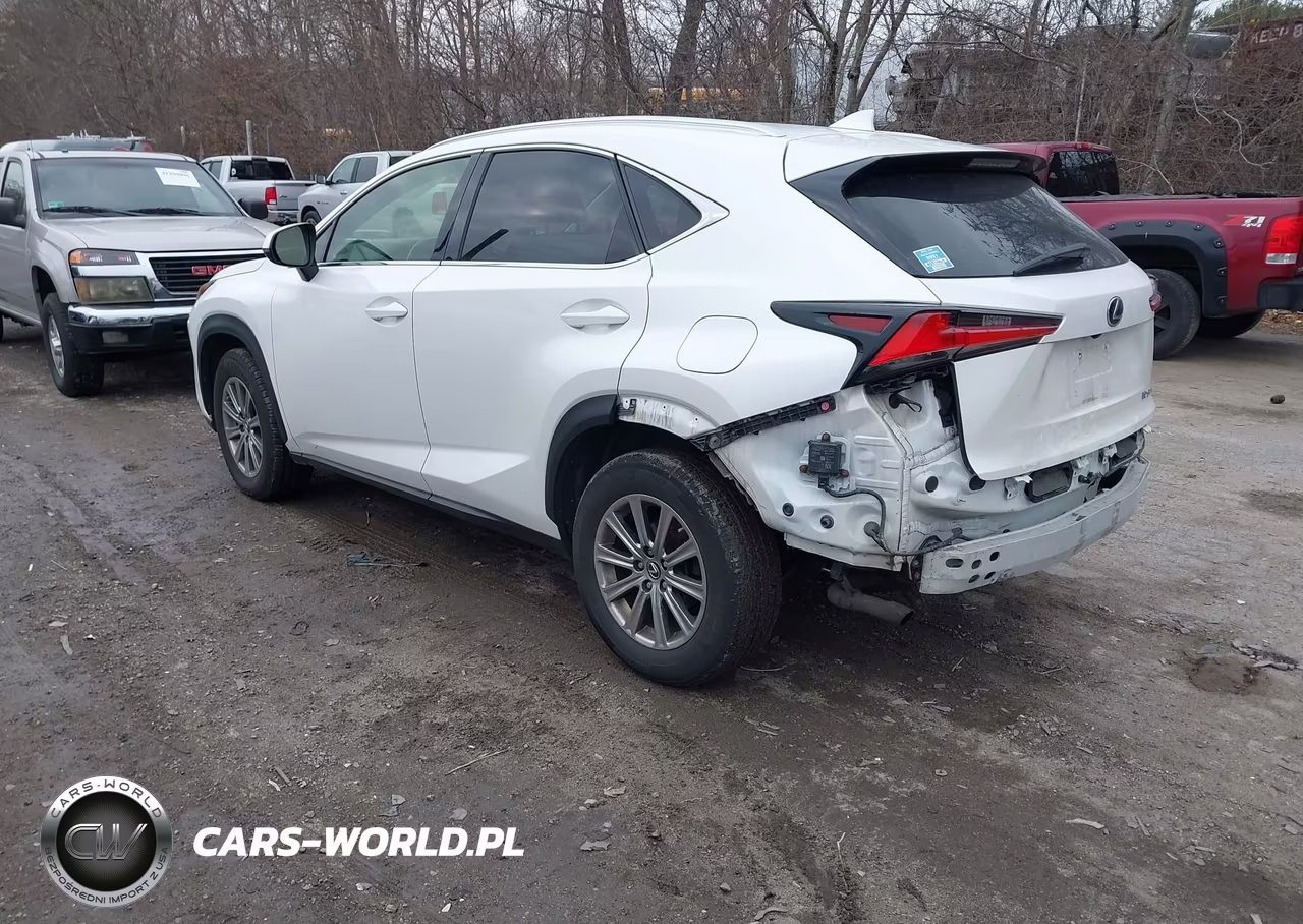 2018 Lexus Nx 300 VIN:JTJBARBZ2J2167856 - 3