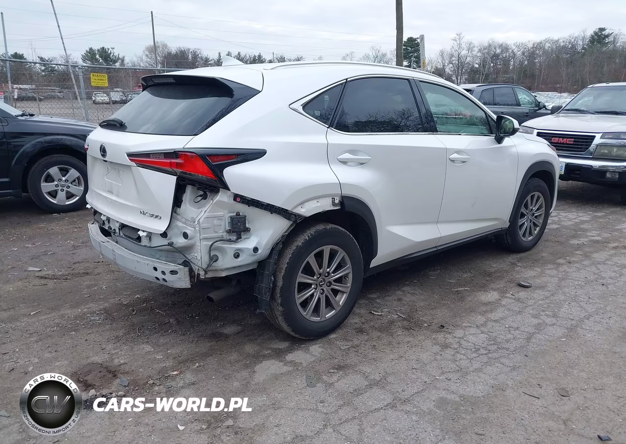 2018 Lexus Nx 300 VIN:JTJBARBZ2J2167856 - 4