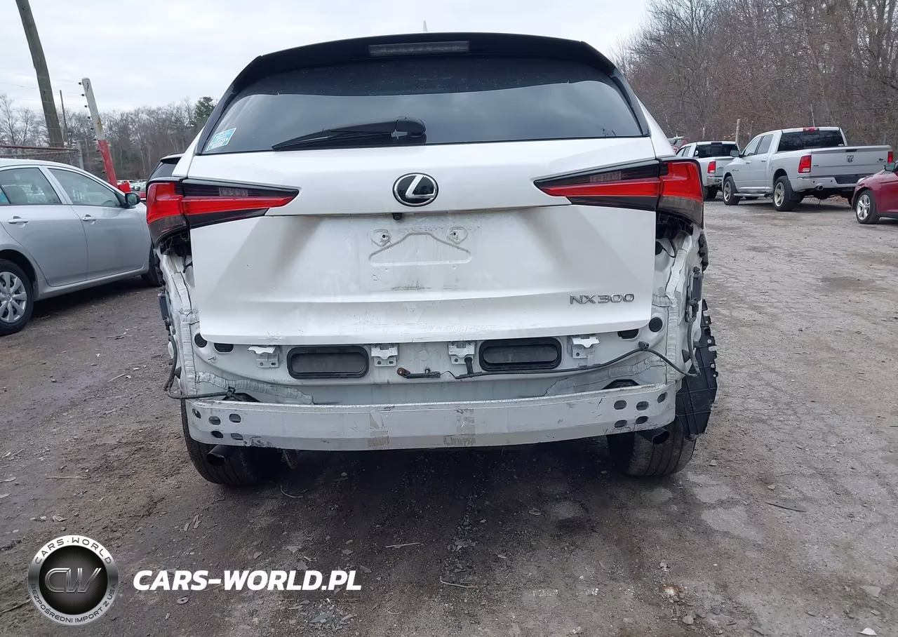2018 Lexus Nx 300 VIN:JTJBARBZ2J2167856 - 6