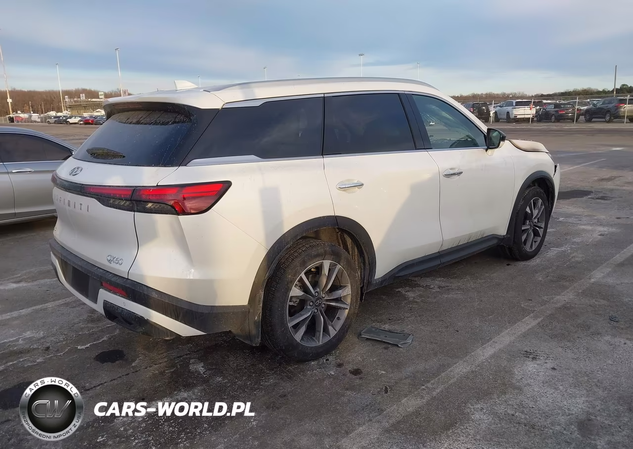 2025 Infiniti Qx60 Luxe Awd VIN:5N1AL1FSXSC337296 - 4