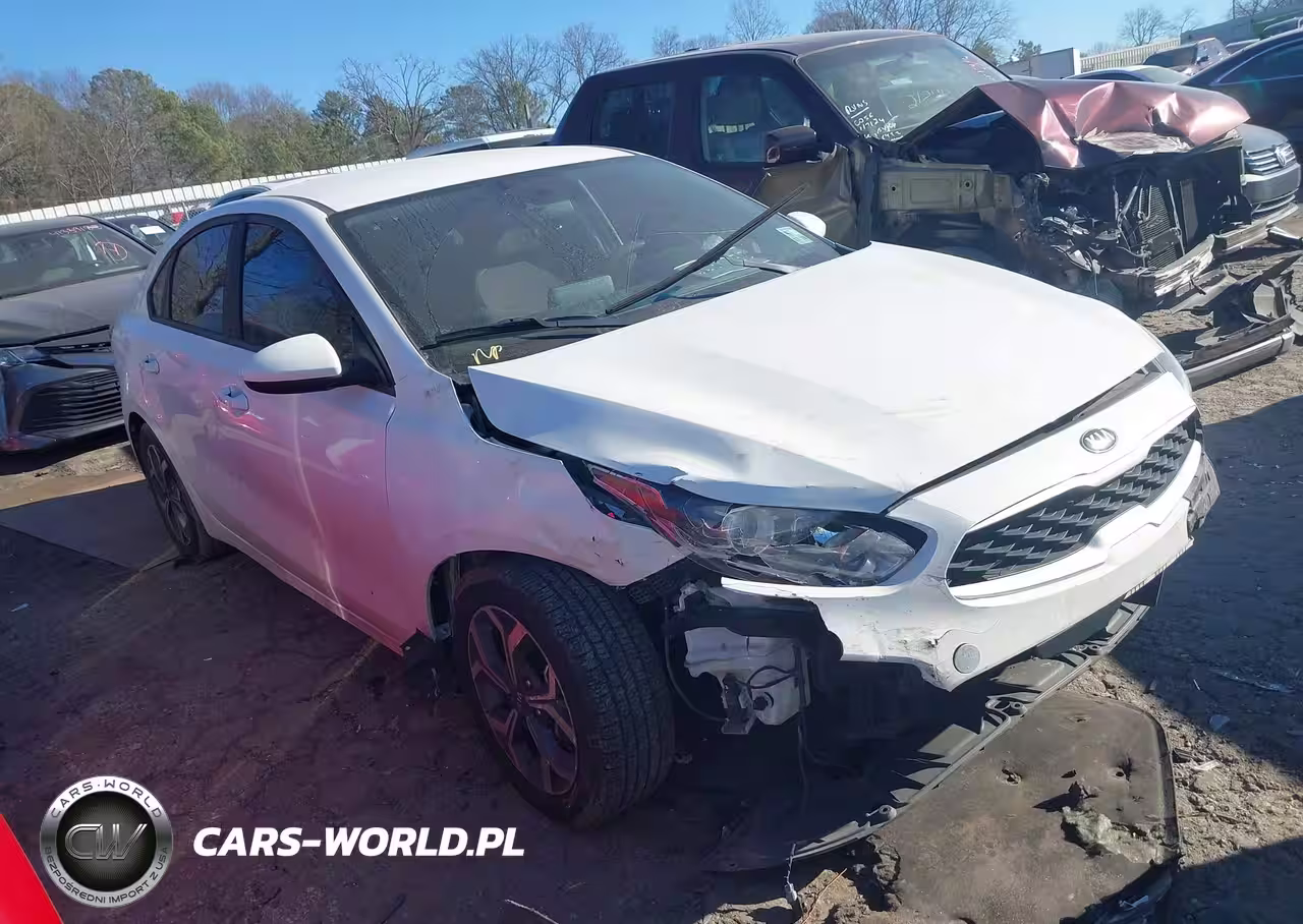 2019 Kia Forte Lxs
