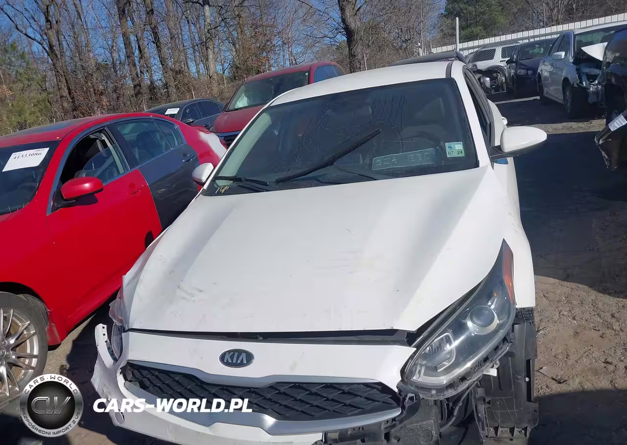 2019 Kia Forte Lxs VIN:3KPF24AD9KE076713 - 12