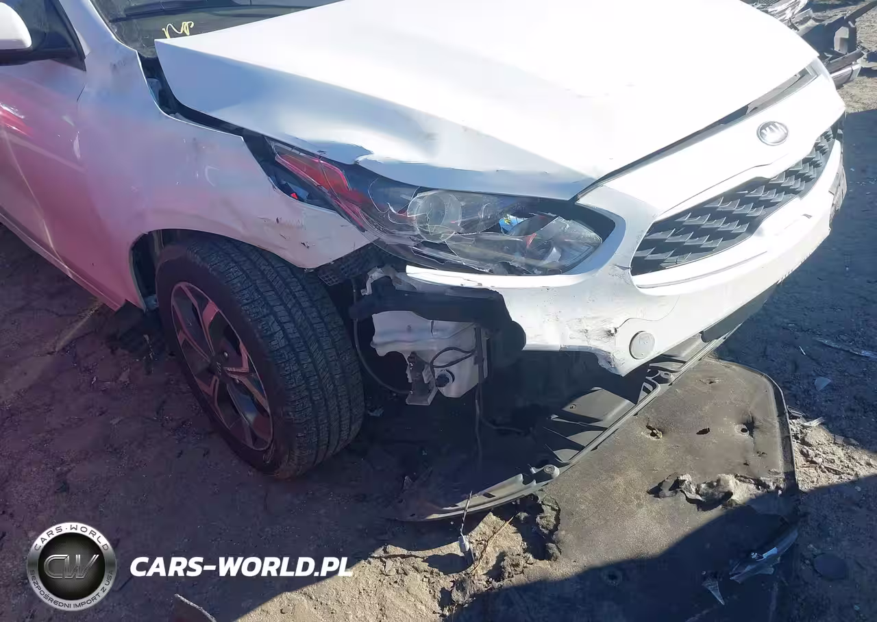 2019 Kia Forte Lxs VIN:3KPF24AD9KE076713 - 17