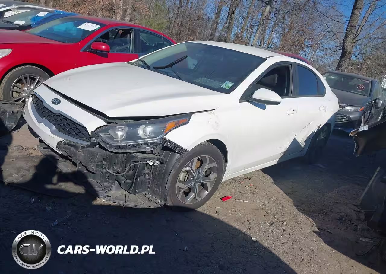 2019 Kia Forte Lxs VIN:3KPF24AD9KE076713 - 2