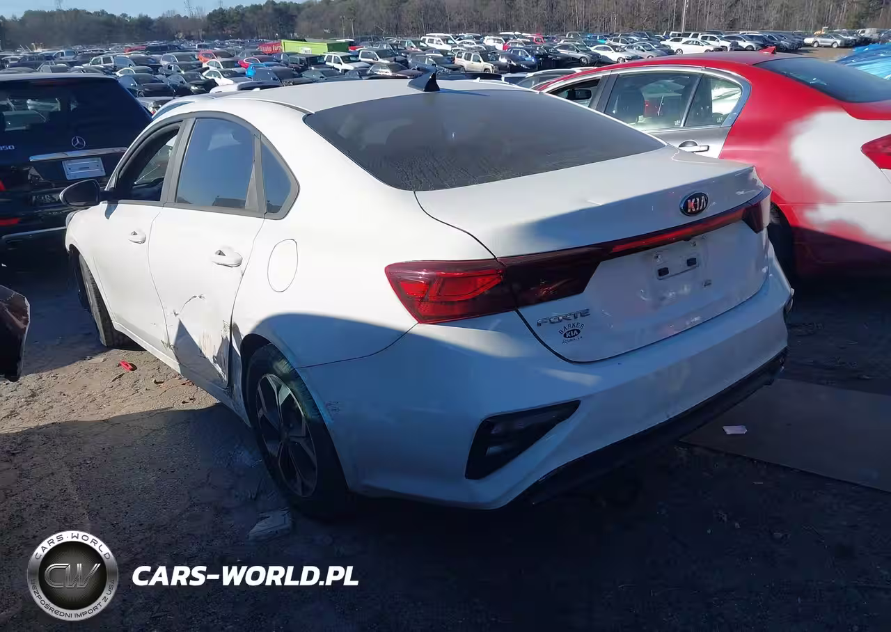 2019 Kia Forte Lxs VIN:3KPF24AD9KE076713 - 3