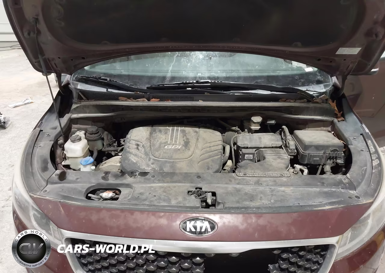2016 Kia Sedona Lx VIN:KNDMB5C10G6121308 - 10