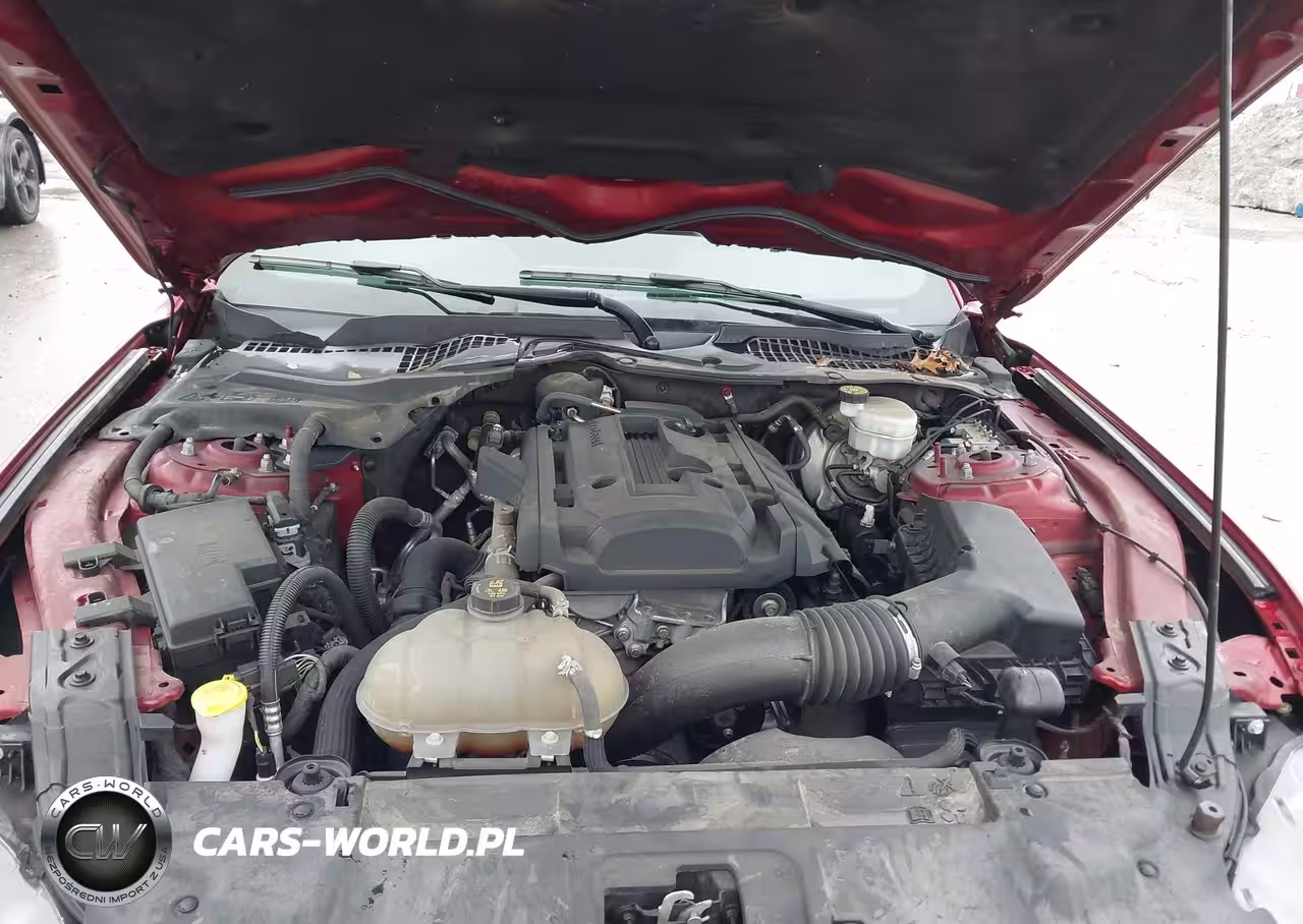 2019 Ford Mustang Ecoboost VIN:1FA6P8TH9K5168866 - 10