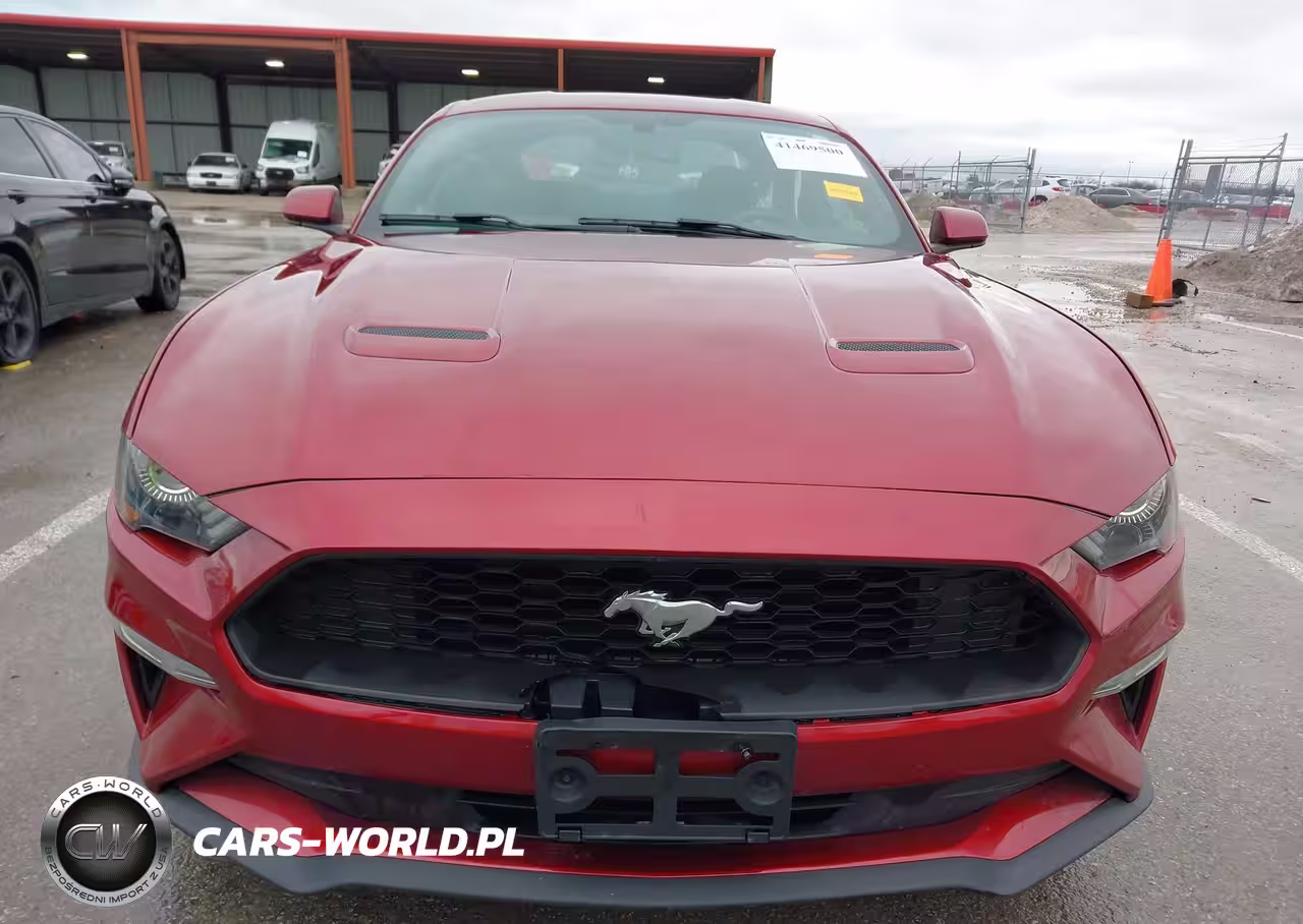 2019 Ford Mustang Ecoboost VIN:1FA6P8TH9K5168866 - 12