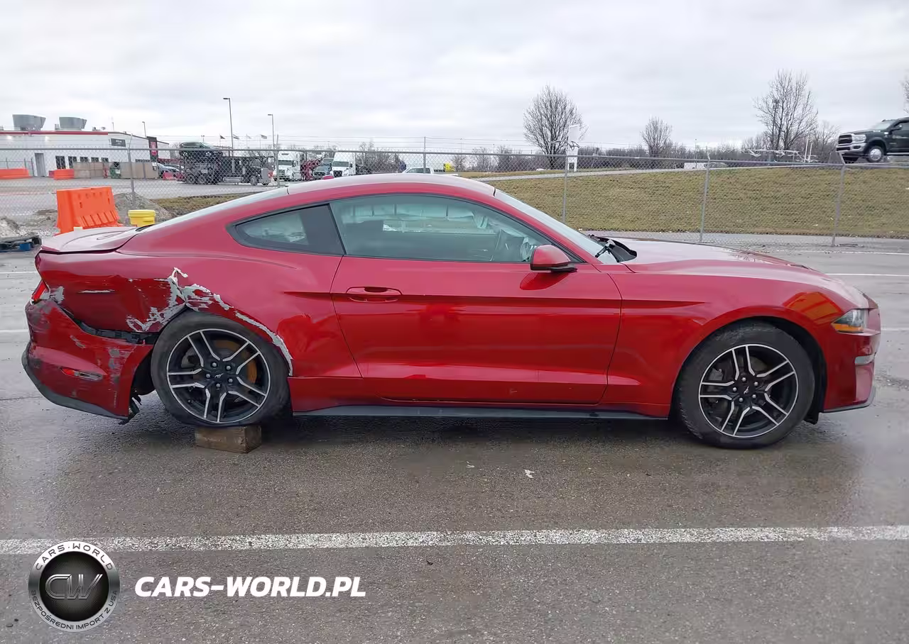 2019 Ford Mustang Ecoboost VIN:1FA6P8TH9K5168866 - 13