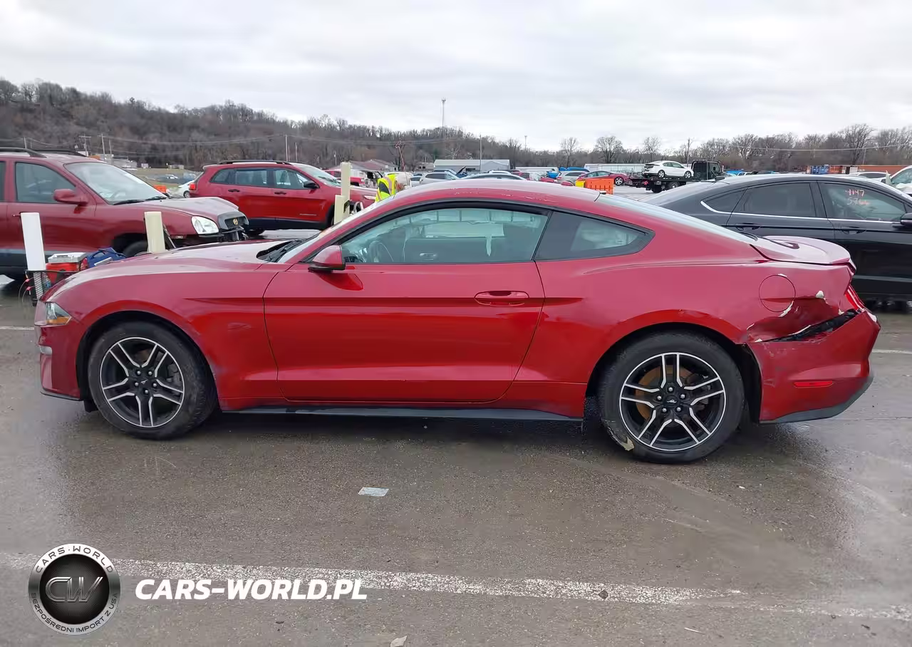 2019 Ford Mustang Ecoboost VIN:1FA6P8TH9K5168866 - 14