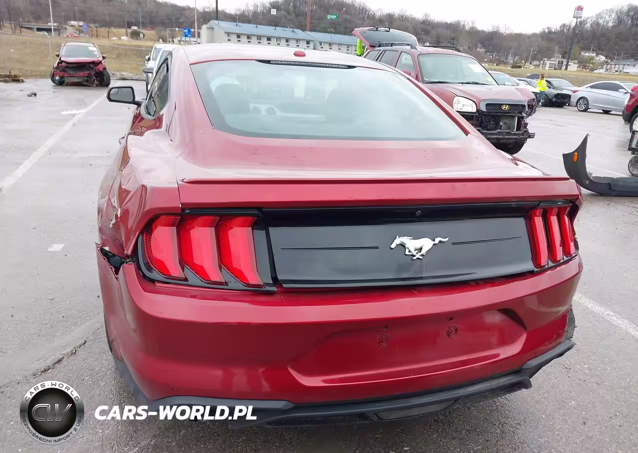 2019 Ford Mustang Ecoboost VIN:1FA6P8TH9K5168866 - 16