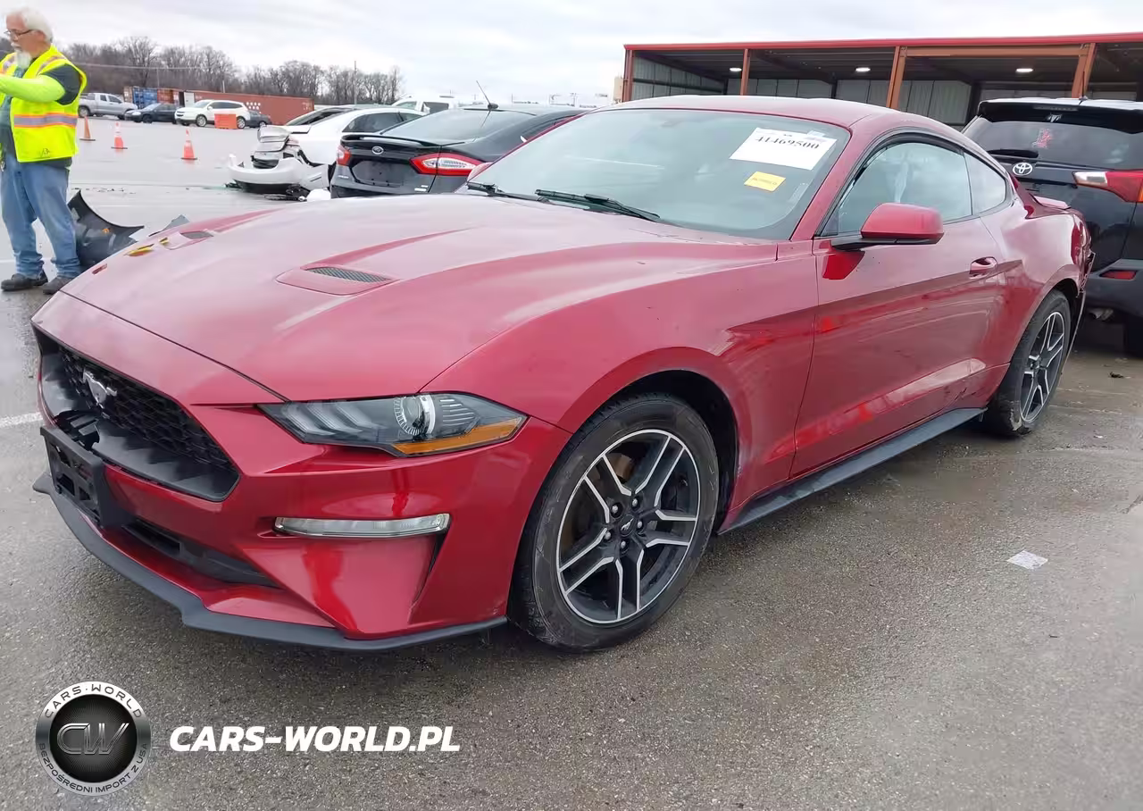 2019 Ford Mustang Ecoboost VIN:1FA6P8TH9K5168866 - 2