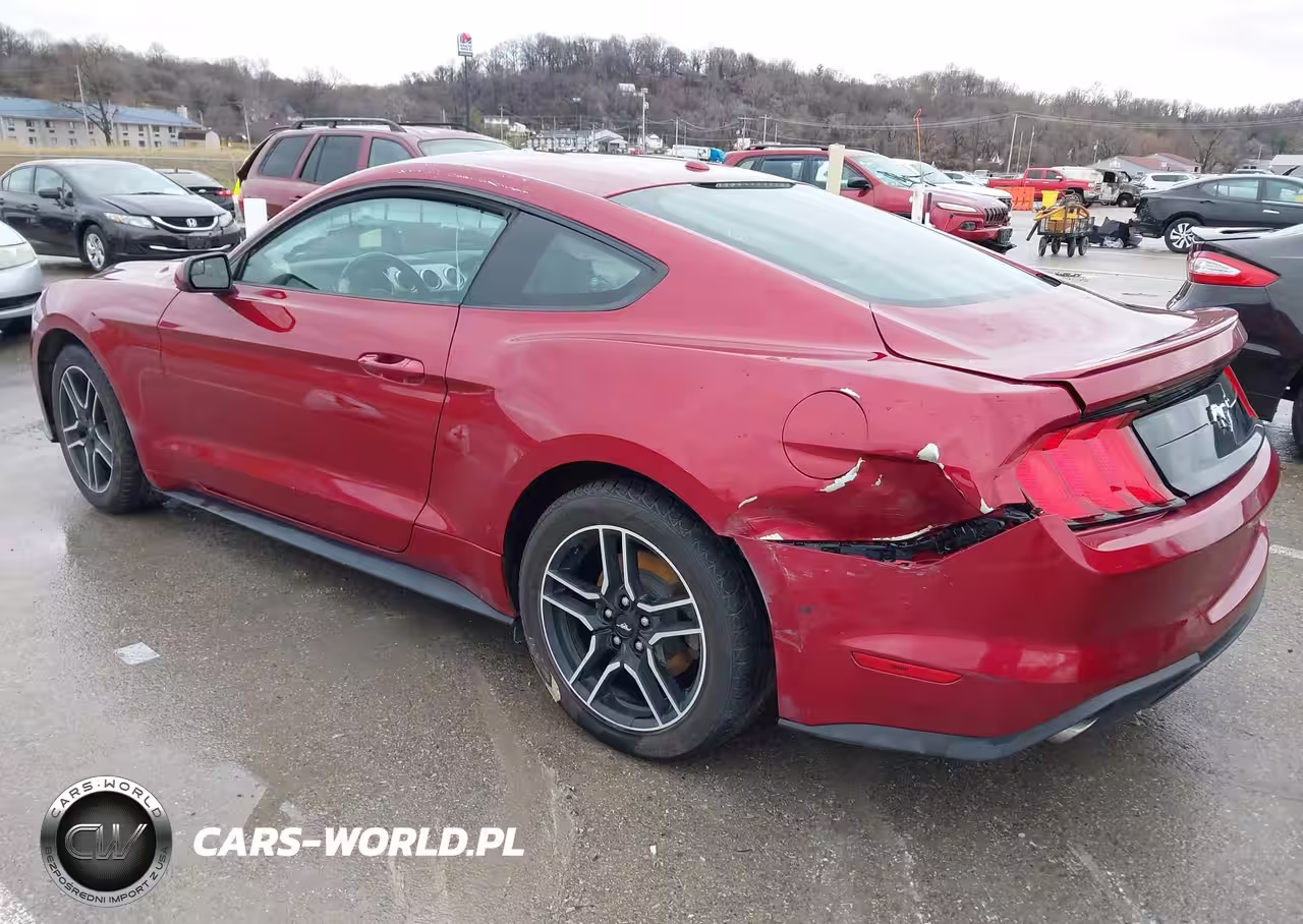 2019 Ford Mustang Ecoboost VIN:1FA6P8TH9K5168866 - 3