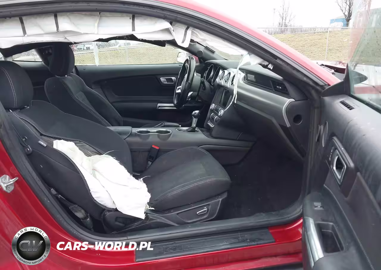 2019 Ford Mustang Ecoboost VIN:1FA6P8TH9K5168866 - 5