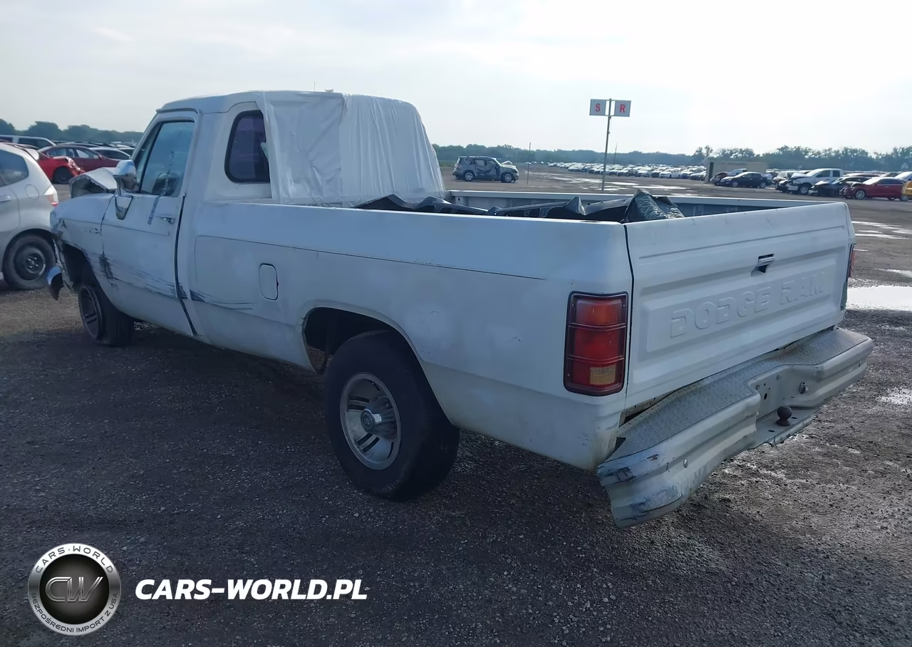 1991 Dodge D-Series D150 VIN:1B7HE16Y4MS238533 - 3