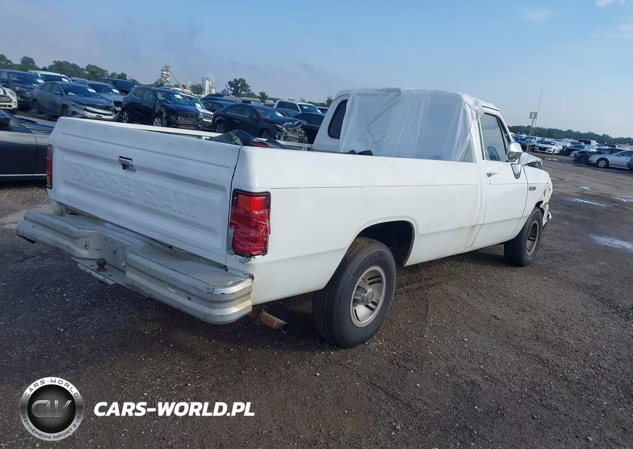 1991 Dodge D-Series D150 VIN:1B7HE16Y4MS238533 - 4