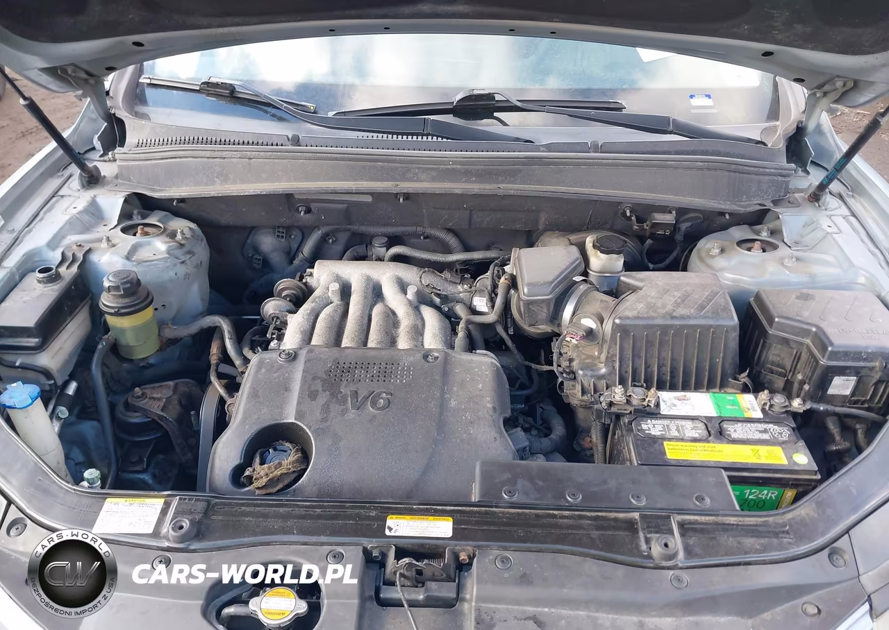2009 Hyundai Santa Fe Gls VIN:5NMSG73D49H322018 - 10