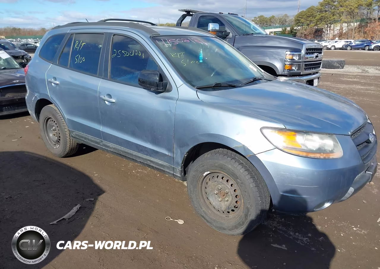 2009 Hyundai Santa Fe Gls VIN:5NMSG73D49H322018 - 6