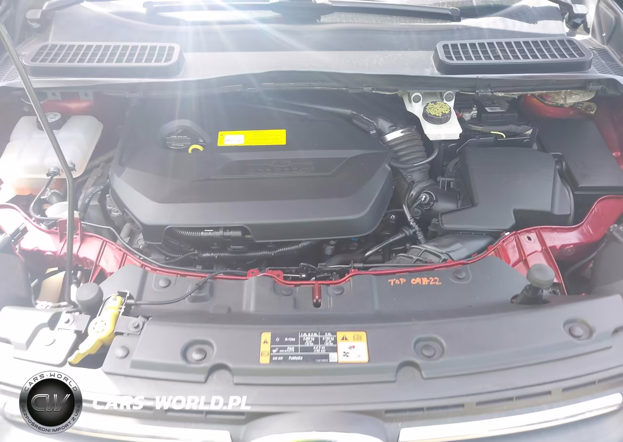 2015 Ford Escape Se VIN:1FMCU0GX7FUB89814 - 10