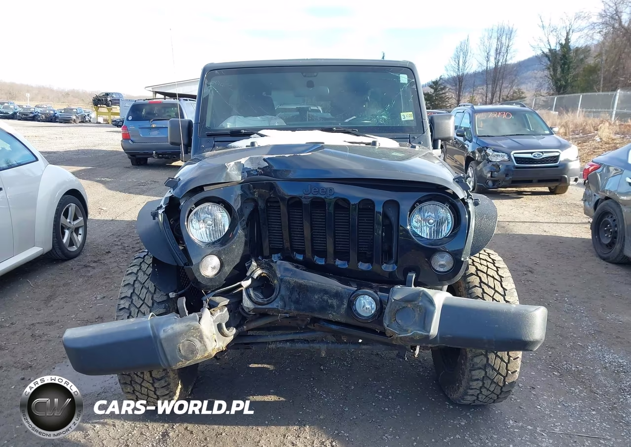 2016 Jeep Wrangler Unlimited Willys Wheeler VIN:1C4BJWDG8GL191000 - 13