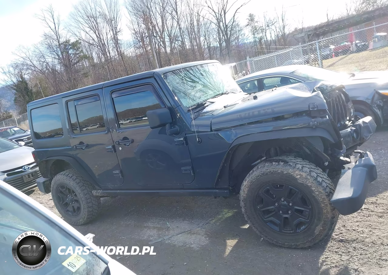 2016 Jeep Wrangler Unlimited Willys Wheeler VIN:1C4BJWDG8GL191000 - 14