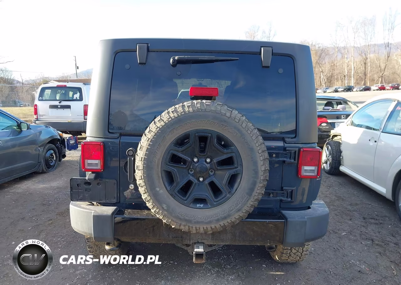 2016 Jeep Wrangler Unlimited Willys Wheeler VIN:1C4BJWDG8GL191000 - 17