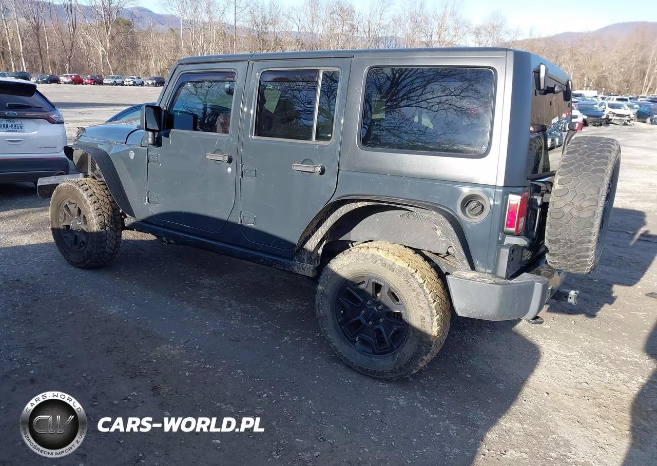 2016 Jeep Wrangler Unlimited Willys Wheeler VIN:1C4BJWDG8GL191000 - 3