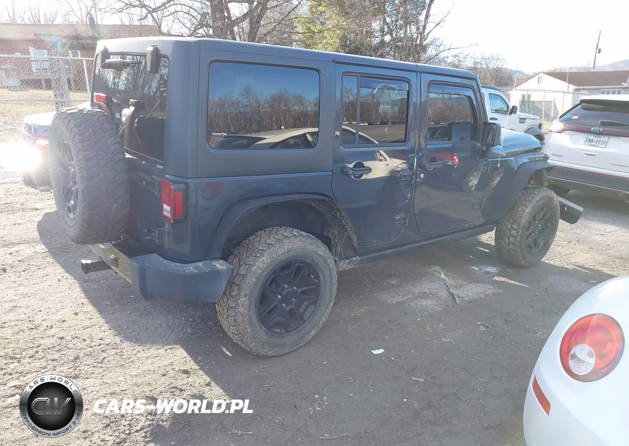 2016 Jeep Wrangler Unlimited Willys Wheeler VIN:1C4BJWDG8GL191000 - 4