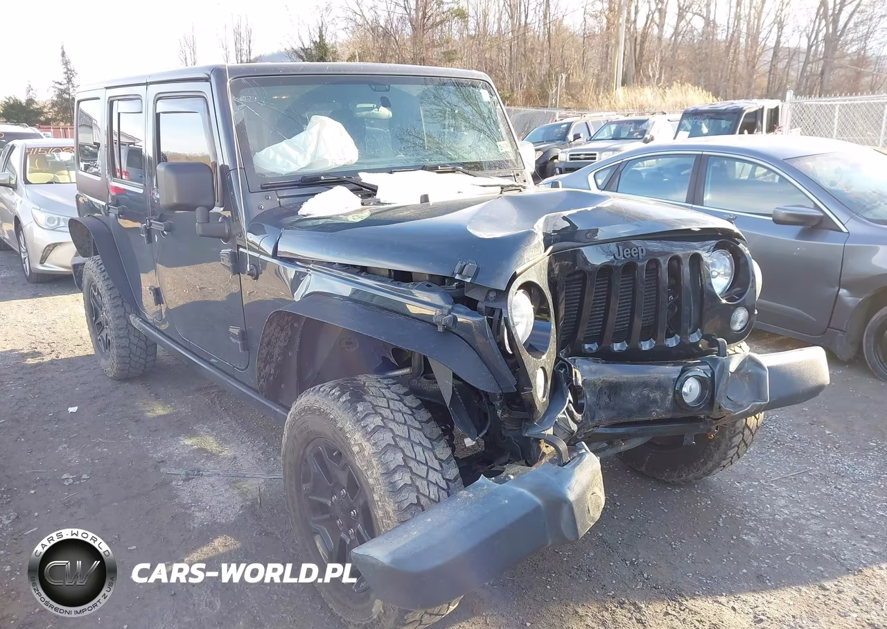 2016 Jeep Wrangler Unlimited Willys Wheeler VIN:1C4BJWDG8GL191000 - 6