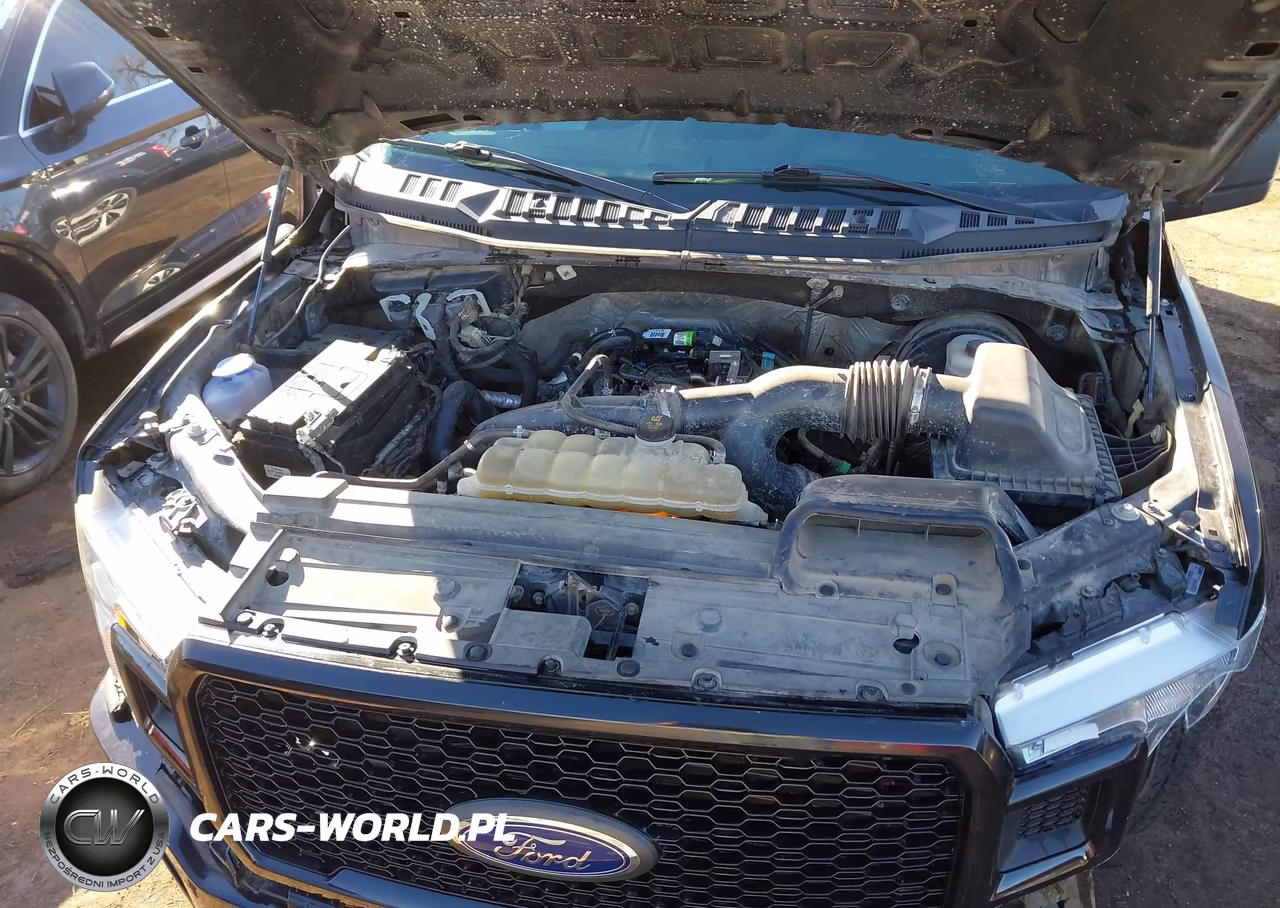 2019 Ford F-150 Xl VIN:1FTEW1CP8KKE92349 - 10