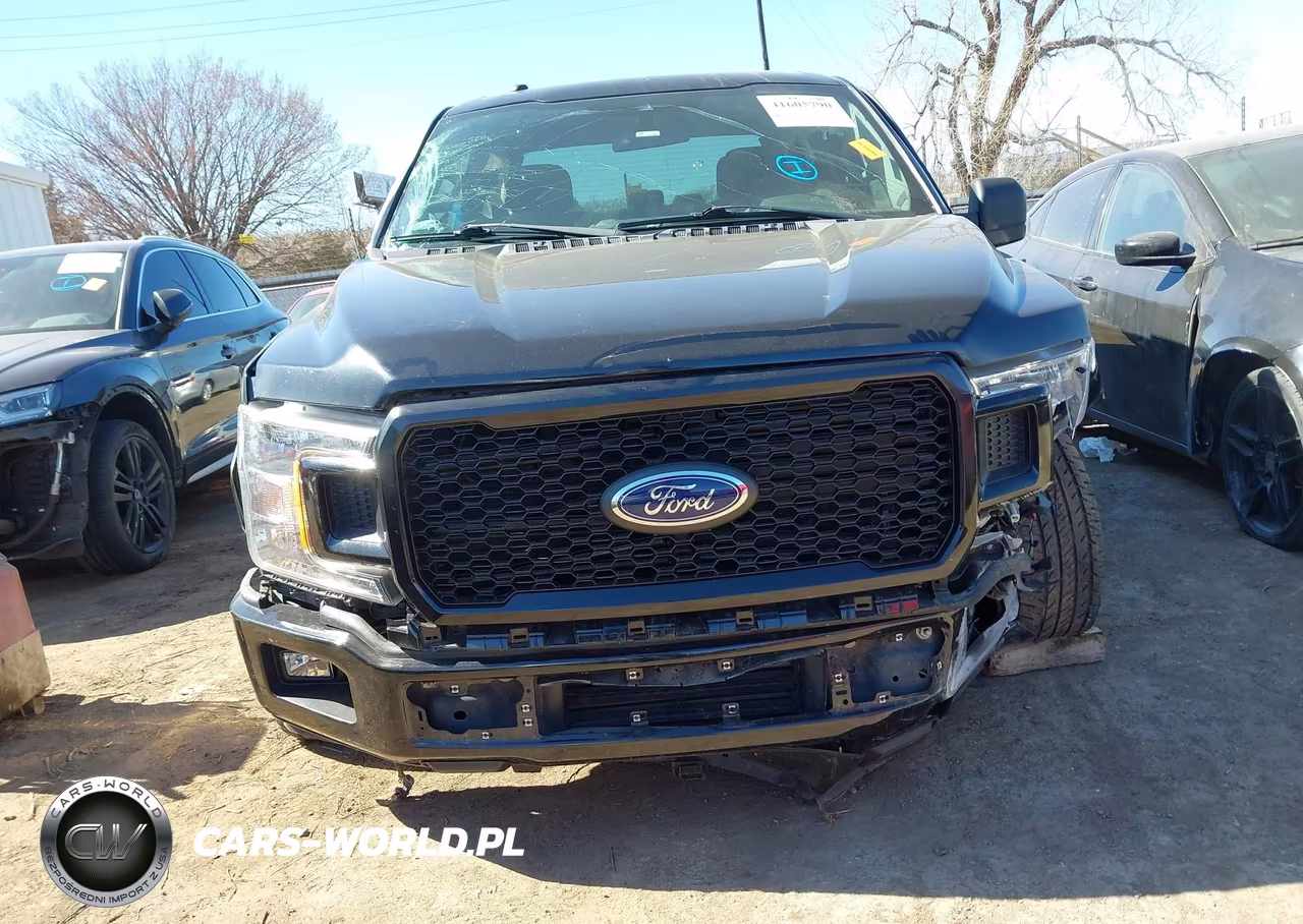 2019 Ford F-150 Xl VIN:1FTEW1CP8KKE92349 - 12