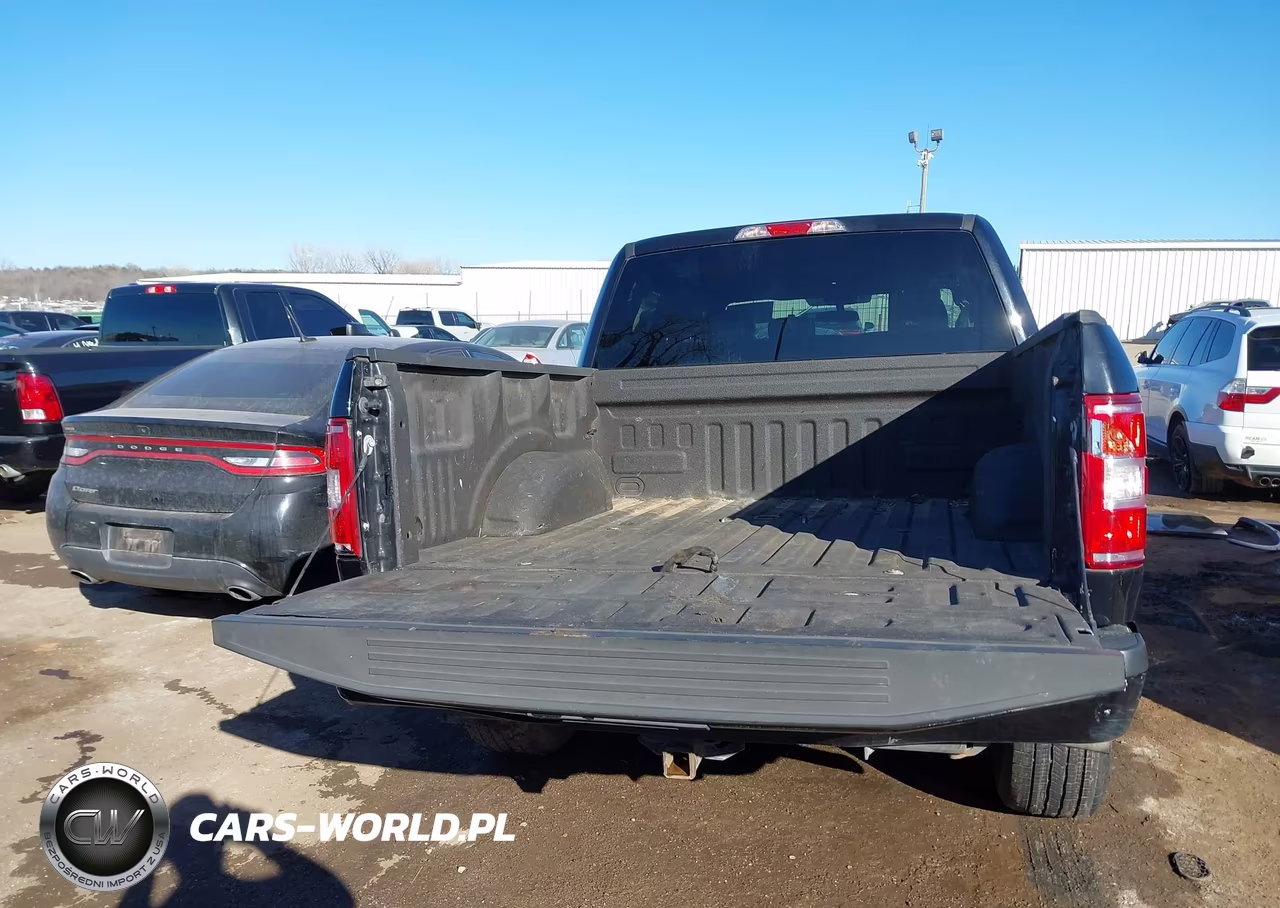 2019 Ford F-150 Xl VIN:1FTEW1CP8KKE92349 - 16