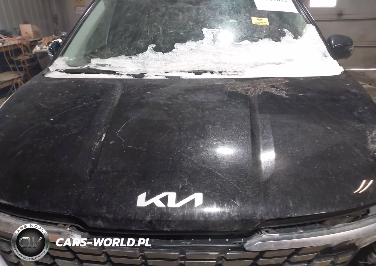 2022 Kia Carnival Mpv Sx VIN:KNDNE5H38N6143396 - 10