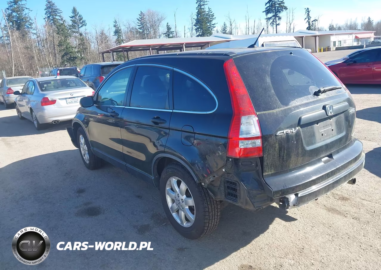 2011 Honda Cr-V Se VIN:JHLRE4H49BC027743 - 3