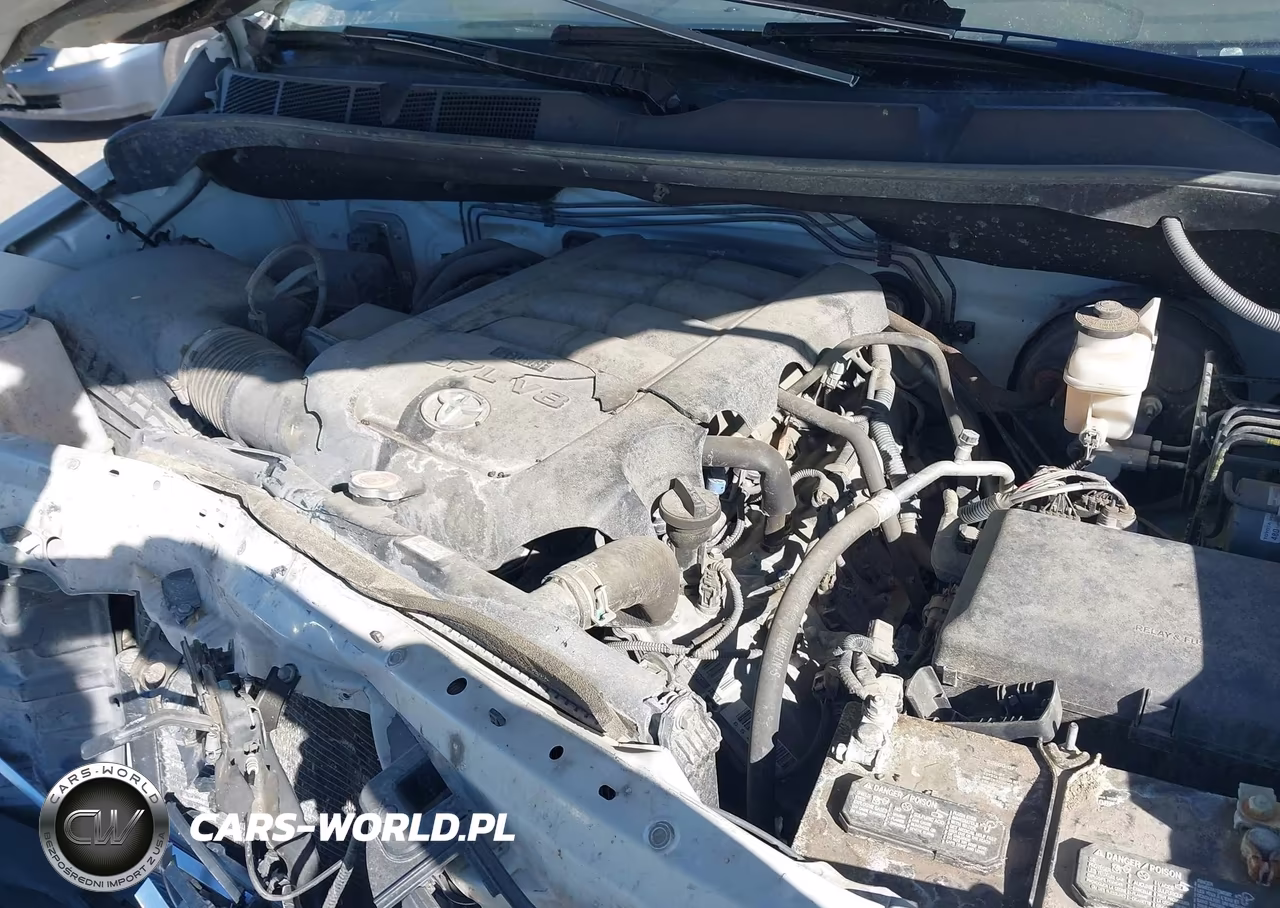 2019 Toyota Tundra Limited 5.7L V8 VIN:5TFHY5F17KX866880 - 10