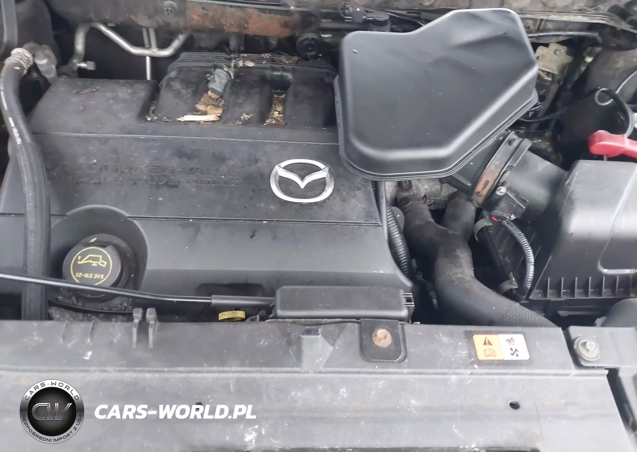 2011 Mazda Cx-9 Grand Touring VIN:JM3TB3DV6B0304099 - 10