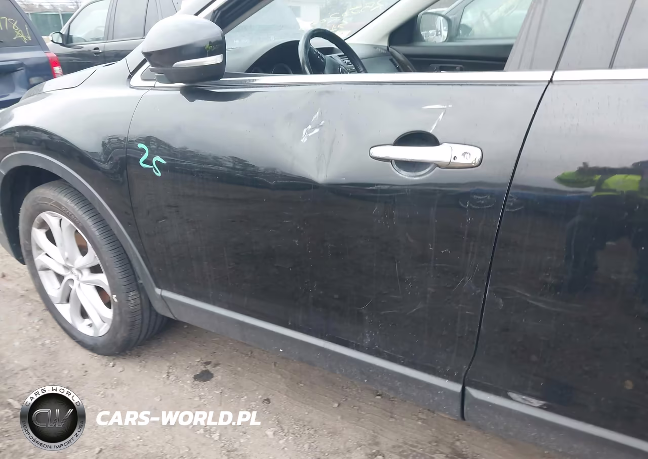 2011 Mazda Cx-9 Grand Touring VIN:JM3TB3DV6B0304099 - 6