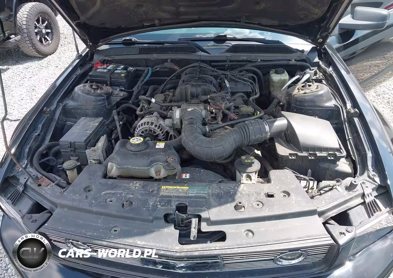 2006 Ford Mustang V6 VIN:1ZVFT80N665237807 - 10