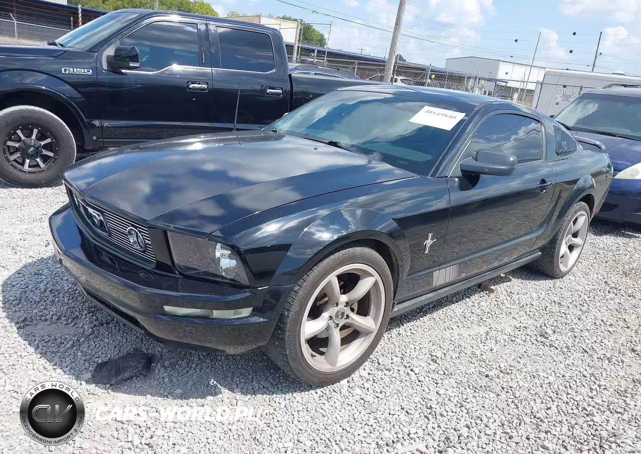 2006 Ford Mustang V6 VIN:1ZVFT80N665237807 - 2