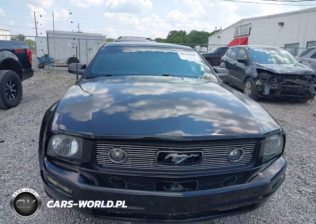 2006 Ford Mustang V6 VIN:1ZVFT80N665237807 - 6